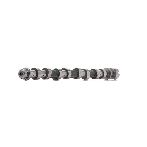 OEM 130200296R AMC  Nockenwelle 647198 für MERCEDES-BENZ, RENAULT, NISSAN, VAUXHALL