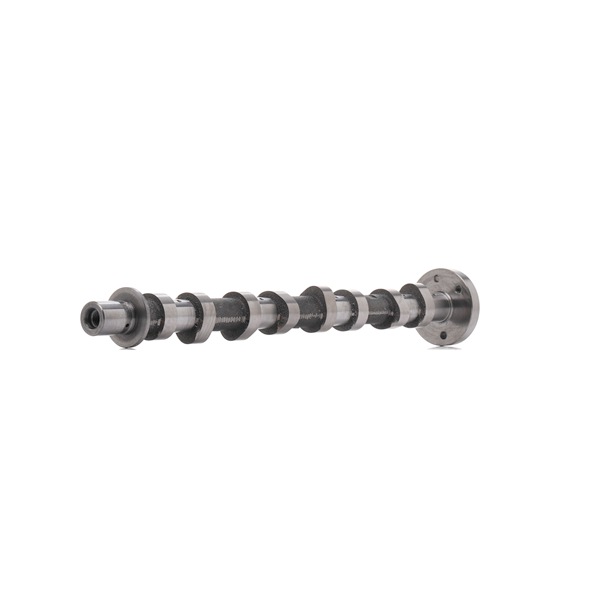OEM 1300100Q0H AMC Kamaksel 647199 for NISSAN