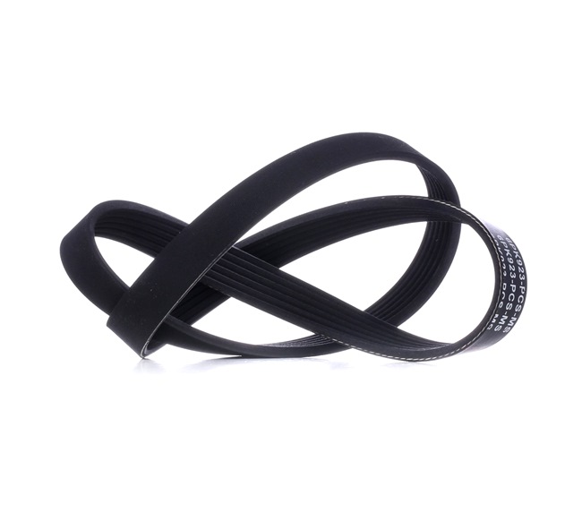 MASTER-SPORT Ribrem 6PK923-PCS-MS