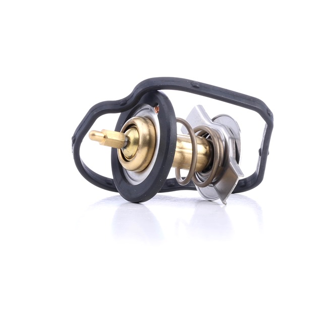 FACET Thermostat 7.8590