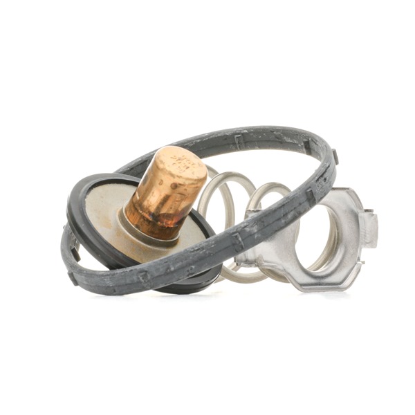 Termostat, kylvätska 724-95 MOTORAD