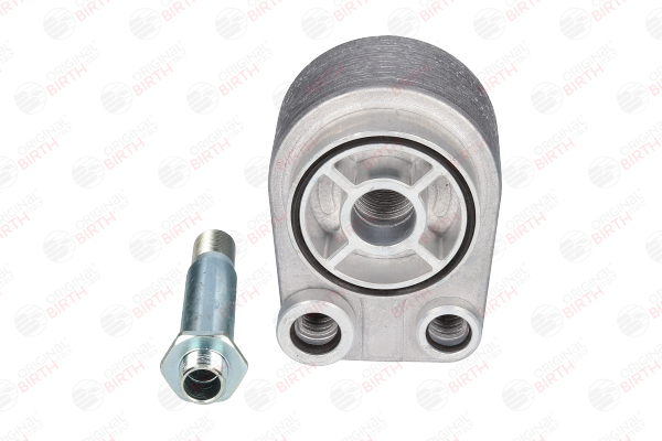 OEM 213059324R BIRTH Radiateur d'huile 8958 pour RENAULT, MERCEDES-BENZ, NISSAN, DACIA, SUZUKI