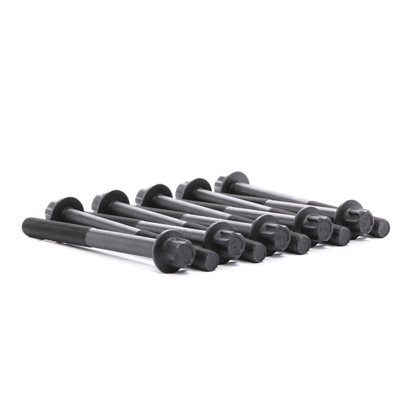 OEM 11056EN200 BGA Syl.kannen pulttisarja BK2318 varten NISSAN, RENAULT