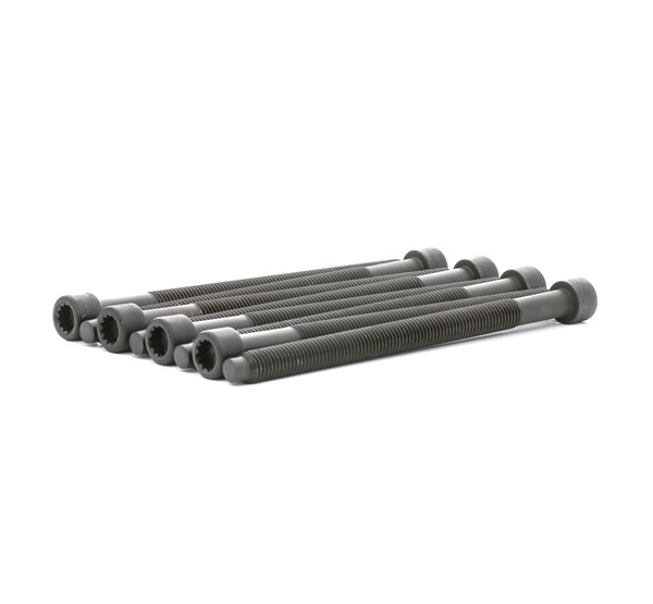 OEM 038103384 BGA Juego de tornillos de culata BK4381 para VOLKSWAGEN, SEAT, AUDI, SKODA, CUPRA