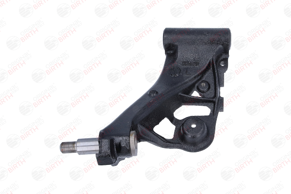 BIRTH Querlenker (BR1628) von Ihrem FIAT PUNTO Cabriolet (176C) 60 1.2 (43 KW / 58 PS / ab 1994)