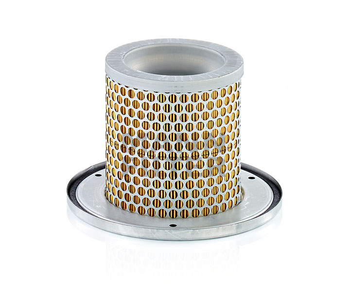 kaufen Sekundärluftfilter - MANN-FILTER (C 1342 KIT)