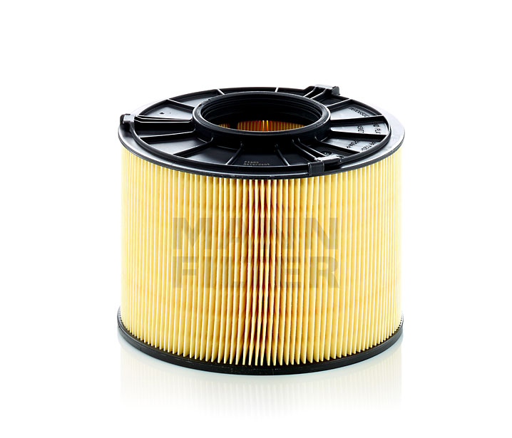 buy Air filter - MANN-FILTER (C 17 012/1)