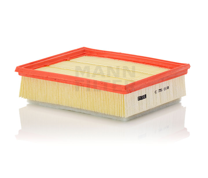 D-MAX Luftfilter C 25 018 MANN-FILTER