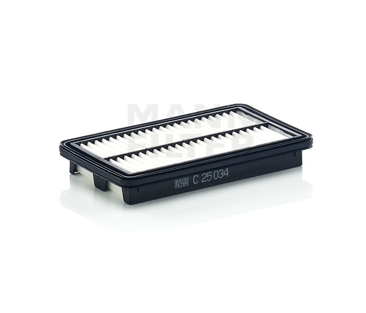 MANN-FILTER C 25 034 CELERIO Luftfilter
