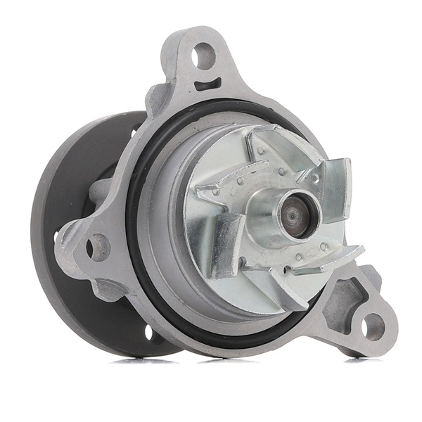 DAYCO DP339: Osta Vesipumppu edullisesti verkossa