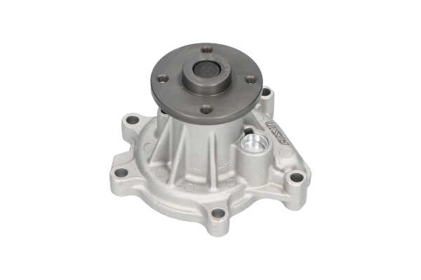 OEM 1610097413 KAVO PARTS Pompa acqua DW-1706 per TOYOTA, DAIHATSU