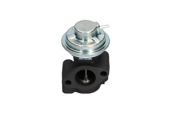 EGR klep (EEG-3005) van KAVO PARTS Voor KIA BONGO Open laadbak/ Chassis 2.4 TDCi (69 KW / 94 PK / Van 2003)