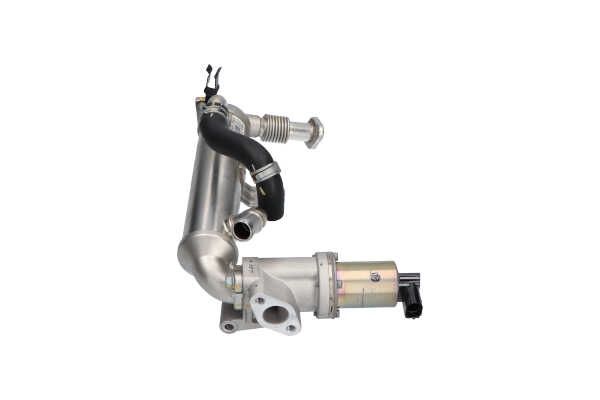 OEM 284202A770 KAVO PARTS Valvola EGR EEG-3031 per HYUNDAI, KIA