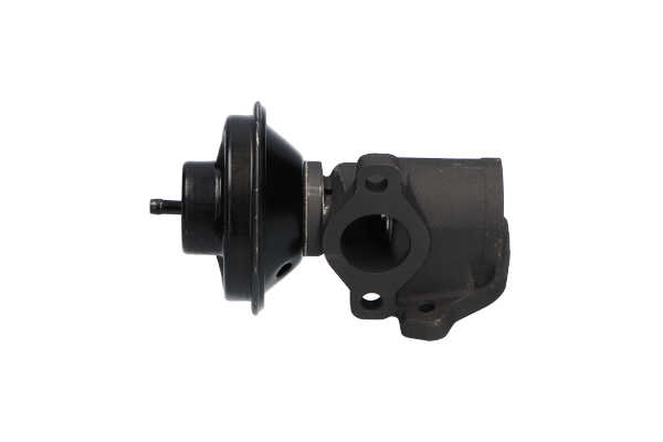 EGR klep (EEG-7503) van KAVO PARTS Voor SSANGYONG REXTON W 2.7 Xdi Vierwielaandrijving (137 KW / 186 PK / Van 2012)