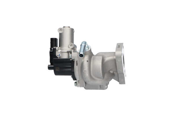 EGR klep (EEG-7507) van KAVO PARTS Voor SSANGYONG REXTON W 2.0 Xdi (110 KW / 150 PK / Van 2013)