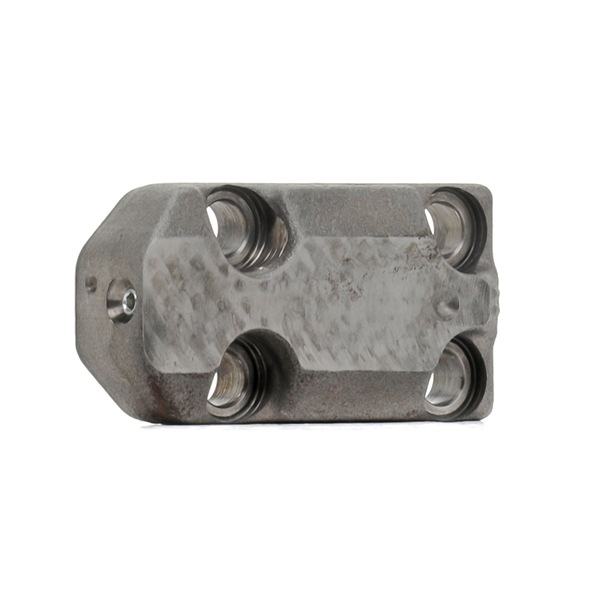 BOSCH Culasse de cylindre (F 00R 0P1 810) pour LANCIA THESIS (841AX) 2.4 JTD (841.AXE1B0, 841.AXH110) (120 KW / 163 CH / de 2003)