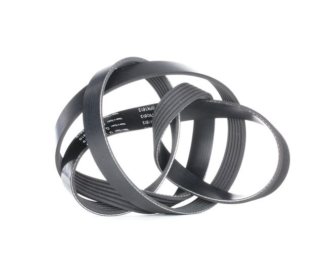 Multiriem (FB 6PK1613) van INA Voor VW Passat Sedan (3C2) 3.6 FSI 4motion (206 KW / 280 PK / Van 2005)