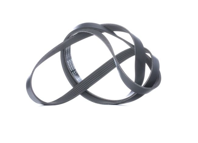 OEM 55201362 INA Serpentine belt FB 6PK1735 for FIAT, ALFA ROMEO, LANCIA