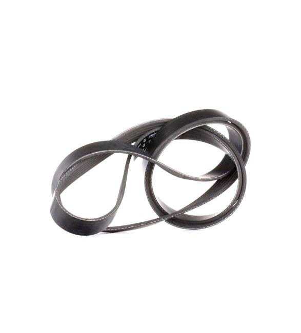 OEM 19172683 INA Cinghia servizi FB 6PK1835 per MERCEDES-BENZ, CHEVROLET, PONTIAC, GMC, OLDSMOBILE
