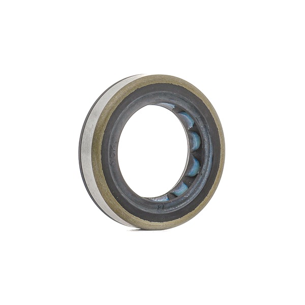 comprare Kit paraolio, Motore - BOSCH (H 146 601 070)