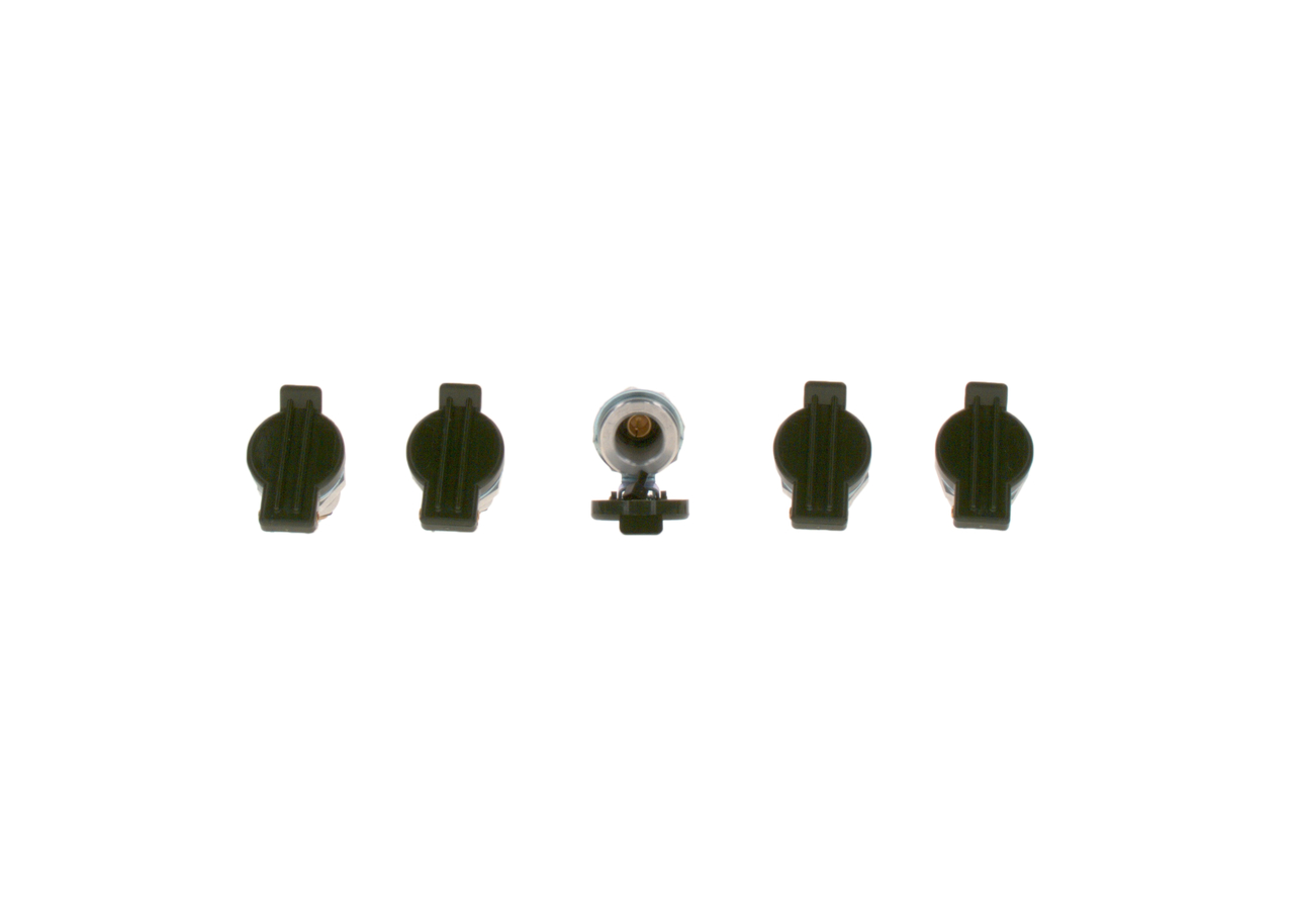 OEM 1720008 BOSCH Pistorasia 0 352 222 009 varten