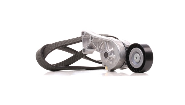VW Multivan V (7HM, 7HN, 7HF, 7EF, 7EM, 7EN) 2.5 TDI Poly V-riem set KPV267