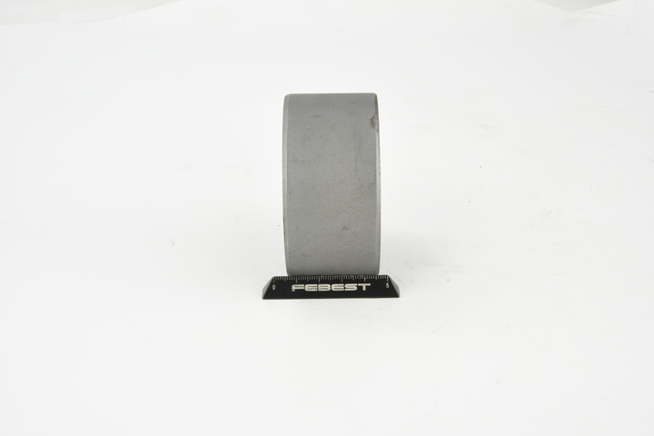 OEM 554008H700 FEBEST Kiinnitys, tasauspyörästö NAB-275 varten NISSAN, HONDA