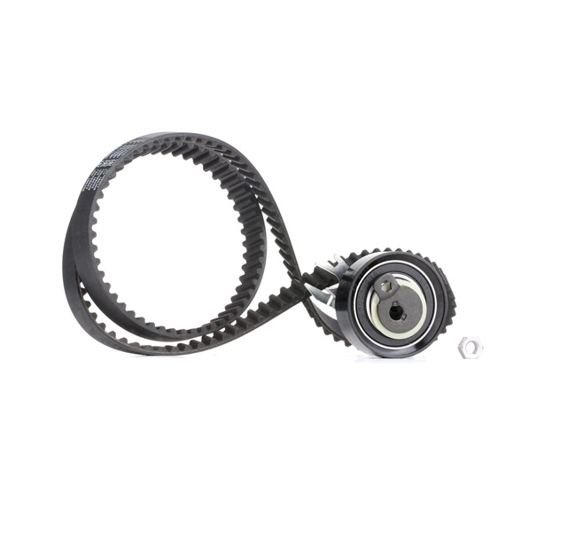 OEM 032198119 BOSCH Registerreimsett 1 987 948 046 for VW, AUDI, SKODA, SEAT