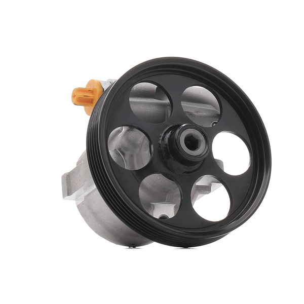 LEAF Power steering pump PSP6305 BGA