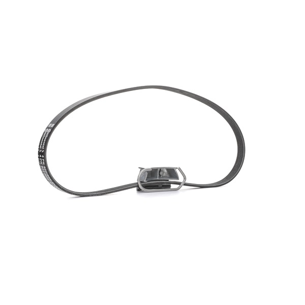 Keilrippenriemen & Keilrippenriemensatz CONTITECH 4PK922 ELAST T1