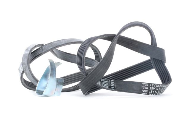 CONTITECH Kit Cinghie Poly-V (6PK1059 ELAST T2) per FORD C-MAX (DM2) 1.6 (85 KW / 116 CV / dal 2007)