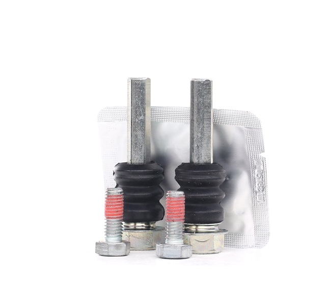 TRW Kit manicotti di guida, Pinza freno (ST1720) per RENAULT MEGANE Scenic (JA0/1_) 2.0 (JA0G) (85 KW / 115 CV / dal 1999)