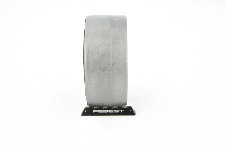 FEBEST Supporto, Differenziale (TAB-315) per LEXUS RX (MCU15) 300 AWD (MCU15) (148 KW / 201 CV / dal 2000)