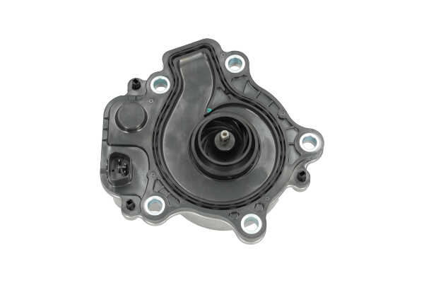 OEM 192005K0A01 KAVO PARTS Vesipumppu TW-6001E varten TOYOTA, HONDA