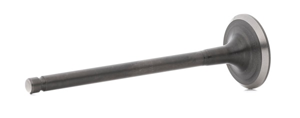 OEM 132022F210 BGA Utløpsventil V998727 for NISSAN