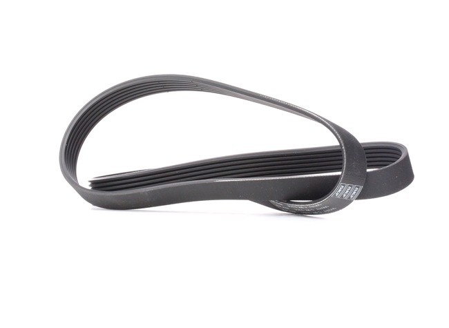 SKF Kileribberem VKMV 6PK1244