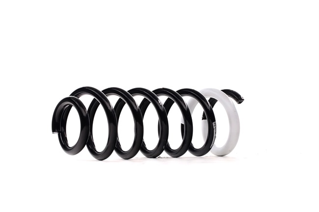 SACHS Fjeder 996 679