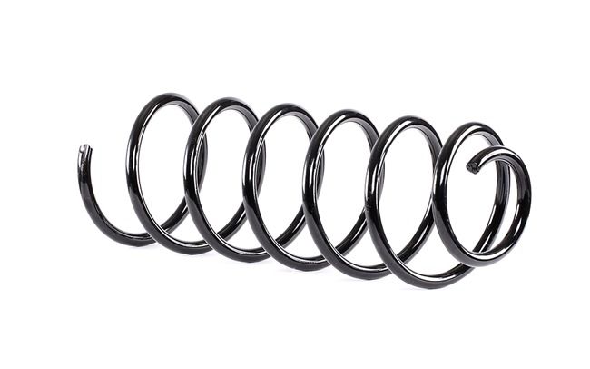 SACHS 998 823: Osta Jousi (auton jousitus) edullisesti verkossa