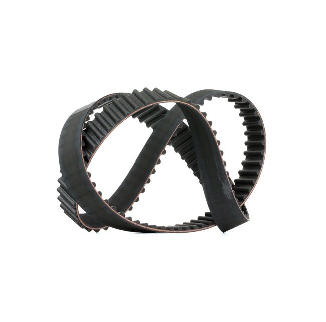 INSIGHT Correia dentada 5348XS GATES