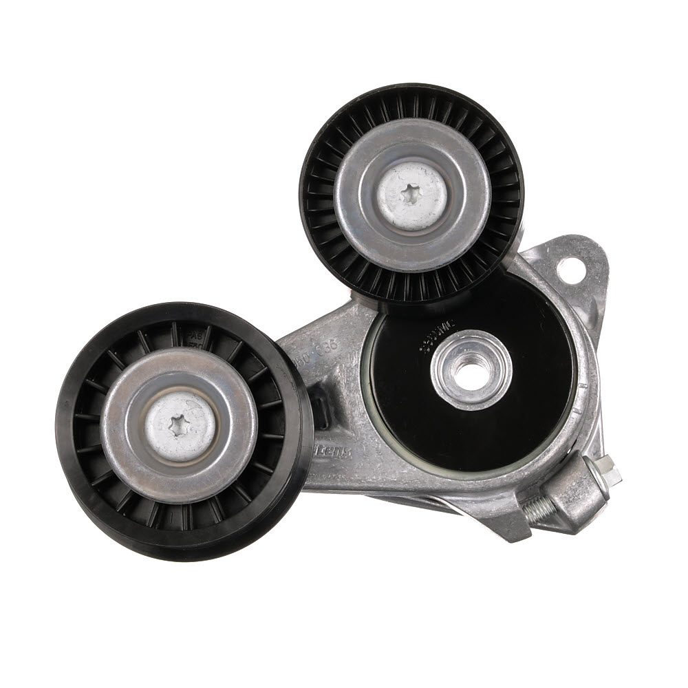 Spanrol, poly V-riem (T39024) van GATES Voor FORD C-MAX (DM2) 1.8 TDCi (85 KW / 115 PK / Van 2007)