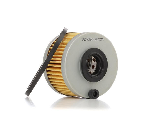 STARK Filtro de combustível (SKFF-0870113) para RENAULT MEGANE Scenic (JA0/1_) 1.9 dT (JA0Y) (69 KW / 94 CV / de 1997)