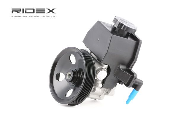 OEM 2D0145155 RIDEX Servopumpe 12H0026 for VW, MERCEDES-BENZ, AUDI, SKODA, SEAT