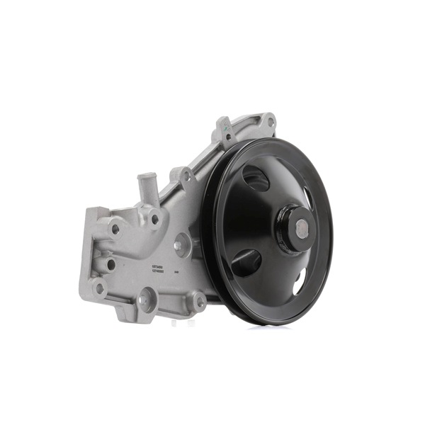 EXPRESS Pompe à eau 1260W0275 RIDEX