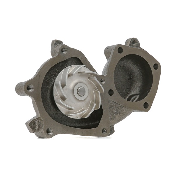 OEM 46445405 STARK Pompa acqua SKWP-0520279 per FIAT, RENAULT, ALFA ROMEO, LANCIA