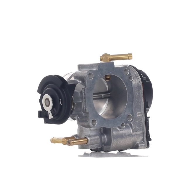 VW BORA 2010 Throttle body 158T0110