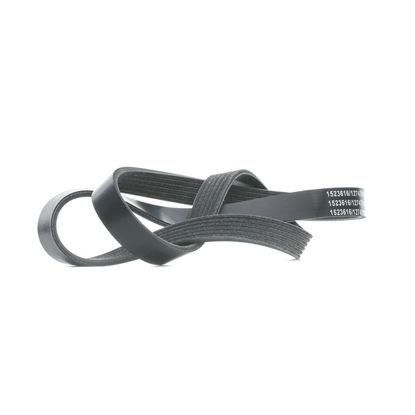 KONA Keilrippenriemen RIDEX 305P0393