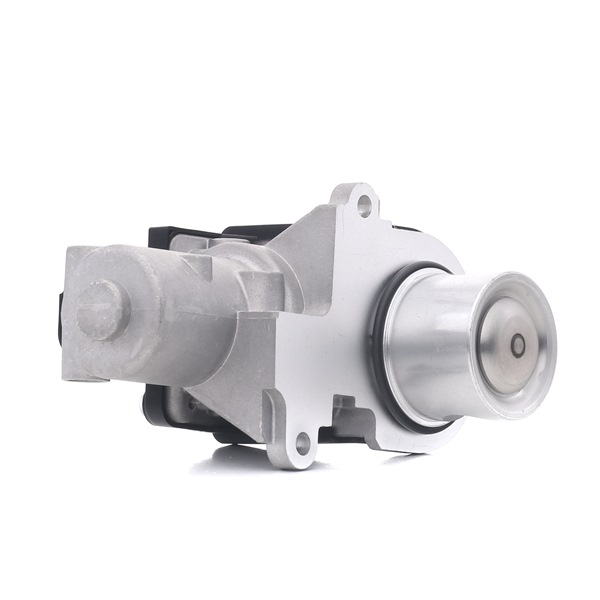 EGR klep (1145E0111) van RIDEX Voor PORSCHE Cayenne (92A) 4.2 S Diesel (281 KW / 382 PK / Van 2012)