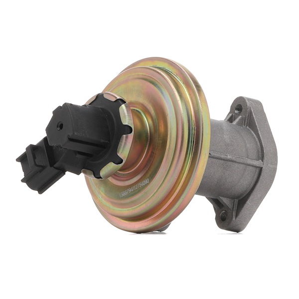 OEM 1198145 RIDEX Vanne EGR 1145E0143 pour FORD