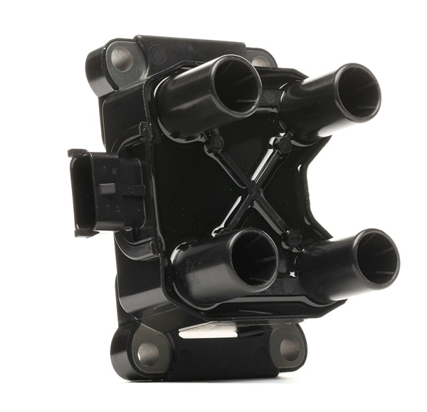 Sytytyspuola 689C0313 alkaen RIDEX