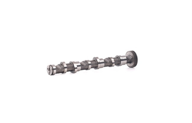 RIDEX Albero a camme (566C0043) per VW PASSAT Variant (3B6) 2.5 TDI (120 KW / 163 CV / dal 2003)